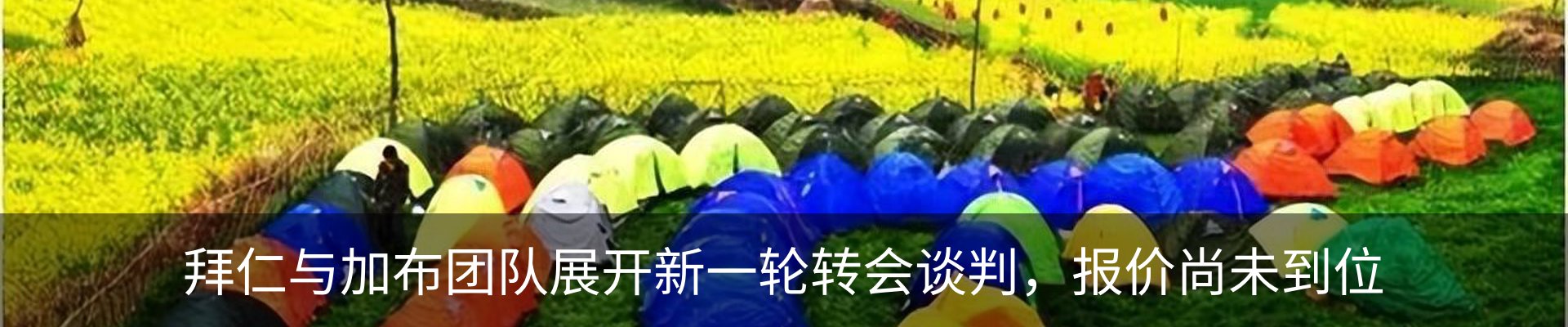 新闻动态